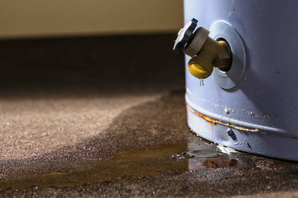 Best Emergency water damage restoration  in Glencoe, MN