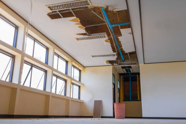 Best Residential water damage restoration  in Glencoe, MN