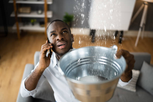 Glencoe, MN Water damage restoration Pros
