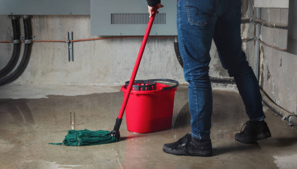 Best Professional water damage repair  in Glencoe, MN