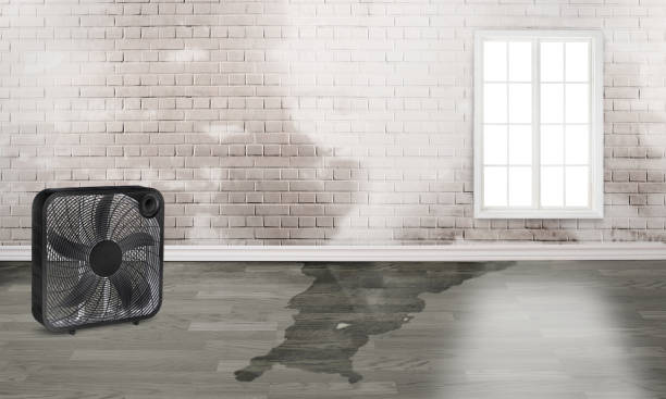 Fire Damage Restoration in Glencoe, MN