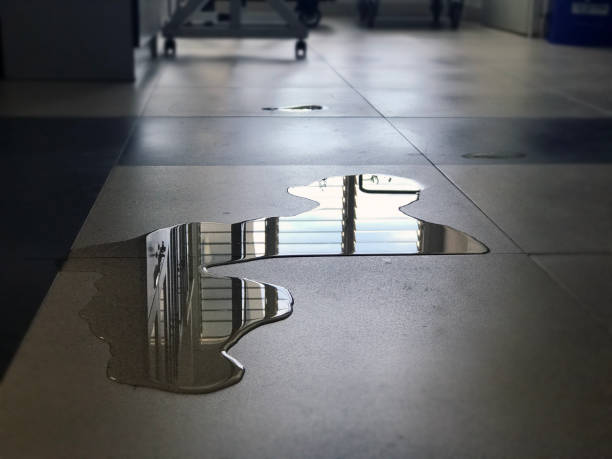 Best Commercial water damage restoration  in Glencoe, MN