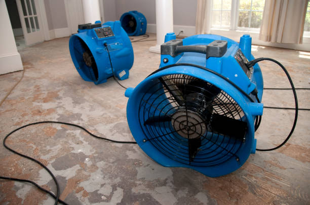 Best Flood restoration services  in Glencoe, MN
