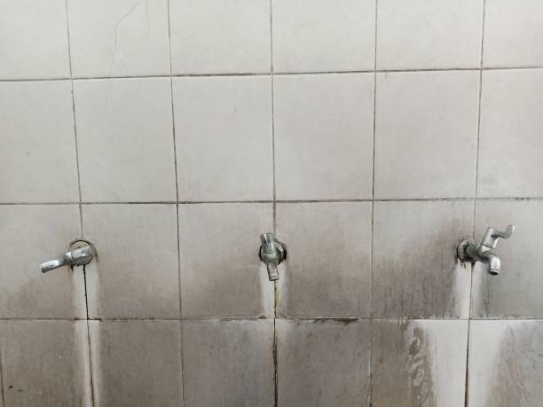 Best Local water damage restoration  in Glencoe, MN
