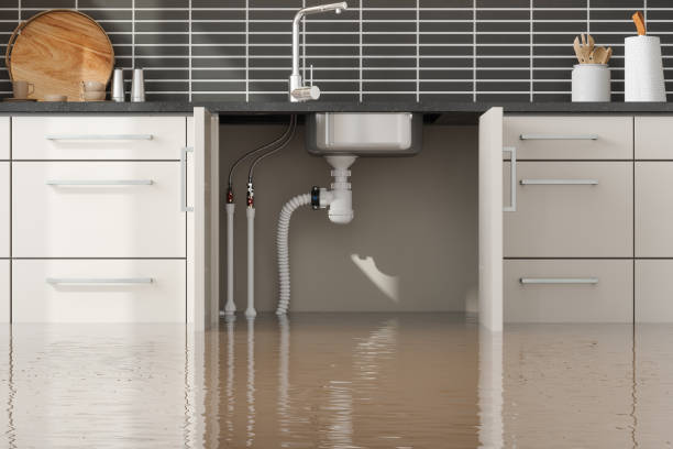 Best Sewage cleanup and water damage restoration  in Glencoe, MN