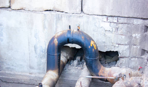 Best Water damage restoration cost  in Glencoe, MN