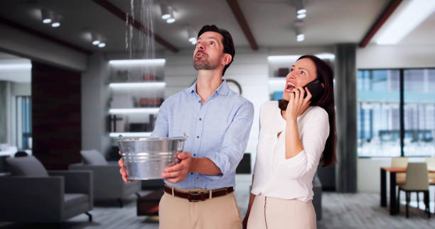 Best Water damage cleanup near me  in Glencoe, MN