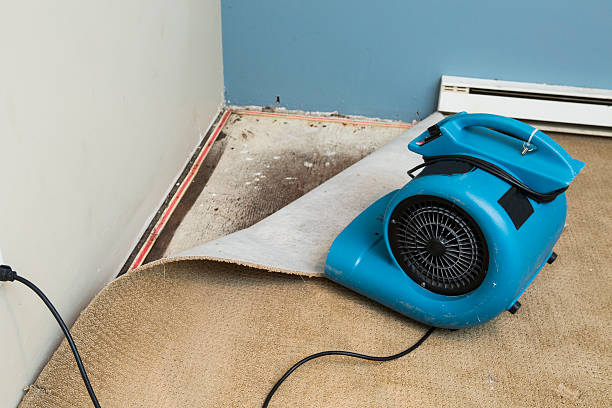 Local water damage restoration in Glencoe, MN